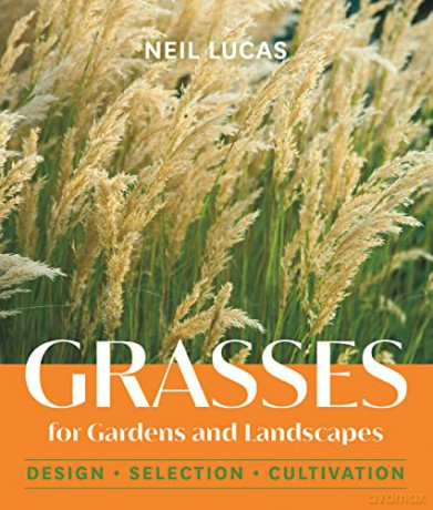 Grasses For Gardens And Landscapes - Neil Lucas [KSIĄŻKA]