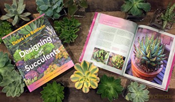 Designing With Succulents - Lee Debra Baldwin [KSIĄŻKA]