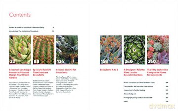 Designing With Succulents - Lee Debra Baldwin [KSIĄŻKA]