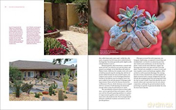 Designing With Succulents - Lee Debra Baldwin [KSIĄŻKA]