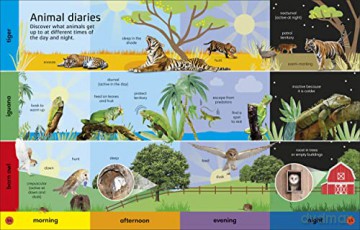 1000 Animal Words - Dk [KSIĄŻKA]