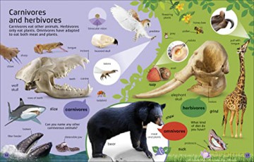 1000 Animal Words - Dk [KSIĄŻKA]