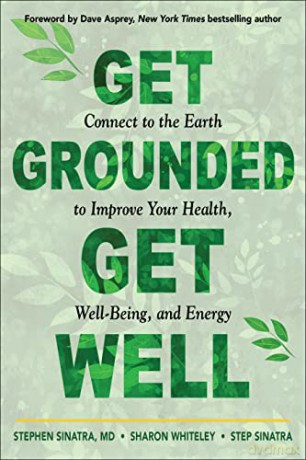 Get Grounded Get Well - Step Et Al Sinatra [KSIĄŻKA]