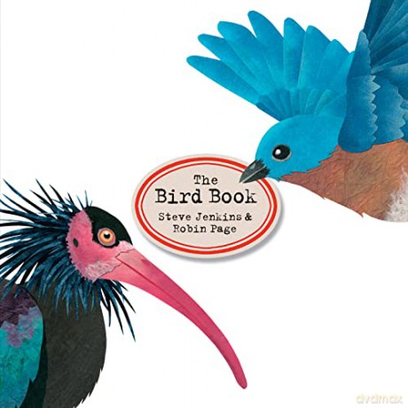 Bird Book Hb - Jenkins Steve [KSIĄŻKA]
