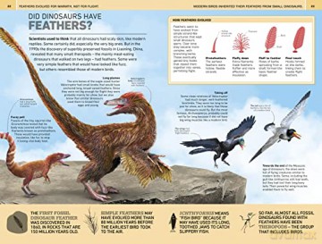 1000 Amazing Dinosaur Facts - Dk [KSIĄŻKA]