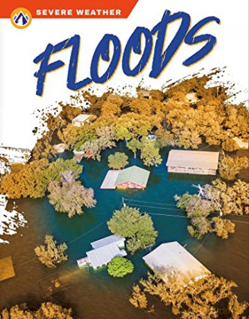 Floods - Sharon Dalgleish [KSIĄŻKA]