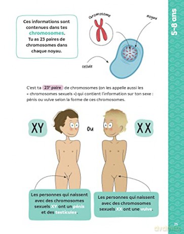 Corps Amour Sexualite Les 120 Questions - Georg Ganswein [KSIĄŻKA]