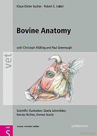 Bovine Anatomy - Klaus Phd [KSIĄŻKA]