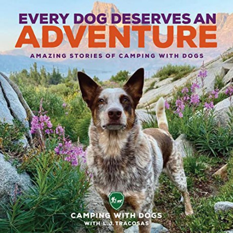 Every Dog Deserves An Adventure - L J Tracosas [KSIĄŻKA]