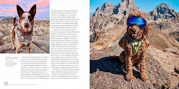 Every Dog Deserves An Adventure - L J Tracosas [KSIĄŻKA]