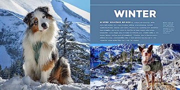 Every Dog Deserves An Adventure - L J Tracosas [KSIĄŻKA]