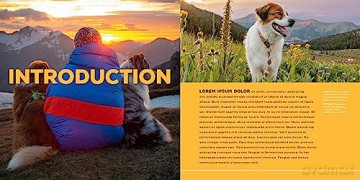 Every Dog Deserves An Adventure - L J Tracosas [KSIĄŻKA]