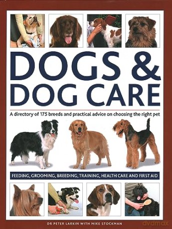 Dogs Dog Care - Dr Peter Lar Larkin [KSIĄŻKA]
