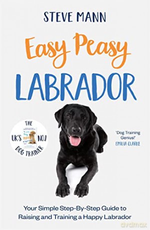 Easy Peasy Labradoir - Steve Mann [KSIĄŻKA]