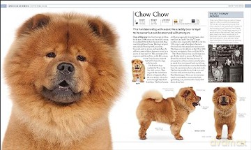 Dog Encyclopedia - Dk [KSIĄŻKA]
