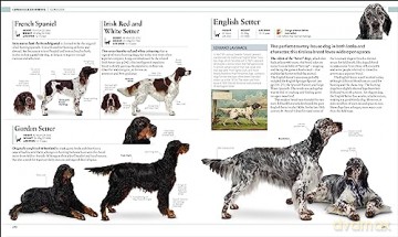 Dog Encyclopedia - Dk [KSIĄŻKA]