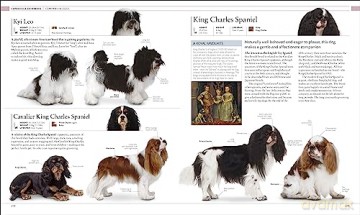 Dog Encyclopedia - Dk [KSIĄŻKA]