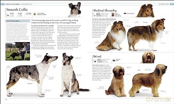 Dog Encyclopedia - Dk [KSIĄŻKA]