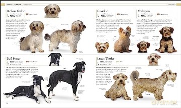 Dog Encyclopedia - Dk [KSIĄŻKA]