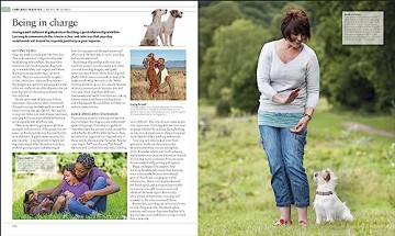 Dog Encyclopedia - Dk [KSIĄŻKA]