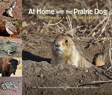 At Home With The Prairie Dog [KSIĄŻKA]