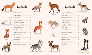 Around The World In 80 Dogs - Kristyna Litten [KSIĄŻKA]