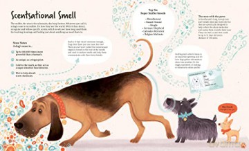 Around The World In 80 Dogs - Kristyna Litten [KSIĄŻKA]