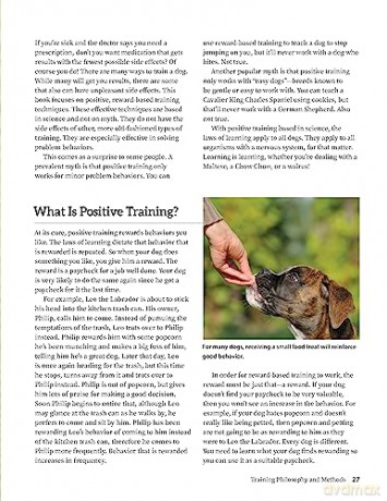 Dog Behavior Problem Solver - Teoti Anderson [KSIĄŻKA]
