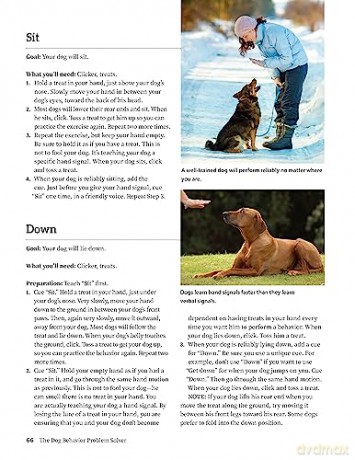 Dog Behavior Problem Solver - Teoti Anderson [KSIĄŻKA]
