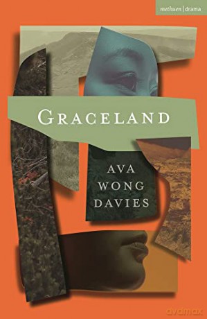 Graceland - Ava Wong Davies [KSIĄŻKA]