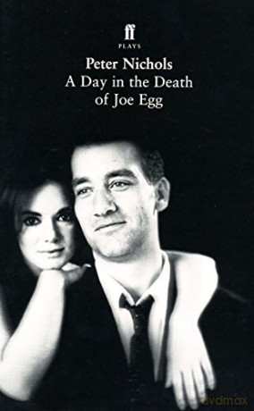 Day In Death Joe Egg - Nichols P [KSIĄŻKA]