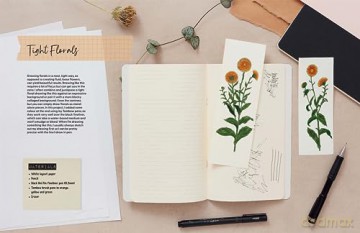 Drawing For The Soul - Zoe Ingram [KSIĄŻKA]
