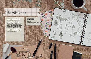 Drawing For The Soul - Zoe Ingram [KSIĄŻKA]