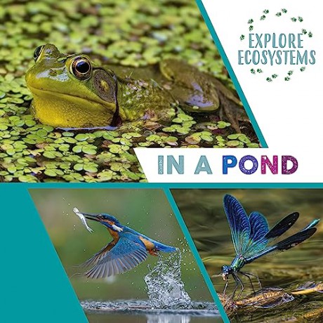 Explore Ecosystems In A Pond - Sarah Ridley [KSIĄŻKA]