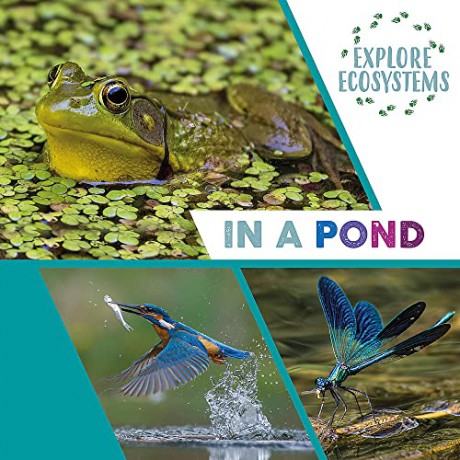 Explore Ecosystems In A Pond - Sarah Ridley [KSIĄŻKA]