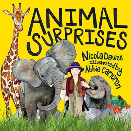 Animal Surprises - Nicola Davies [KSIĄŻKA]