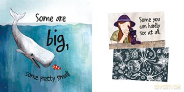 Animal Surprises - Nicola Davies [KSIĄŻKA]
