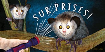 Animal Surprises - Nicola Davies [KSIĄŻKA]