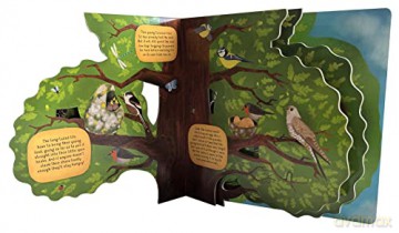 Discovering The World Of Bird Nests - Piro Radka [KSIĄŻKA]