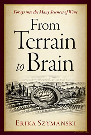 From Terrain To Brain Forays Into The Ma [KSIĄŻKA]