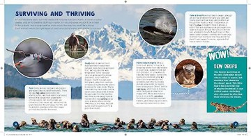 Good Housekeeping 1001 Amazing Science F - Rachel Rothman [KSIĄŻKA]