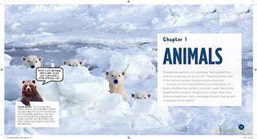 Good Housekeeping 1001 Amazing Science F - Rachel Rothman [KSIĄŻKA]