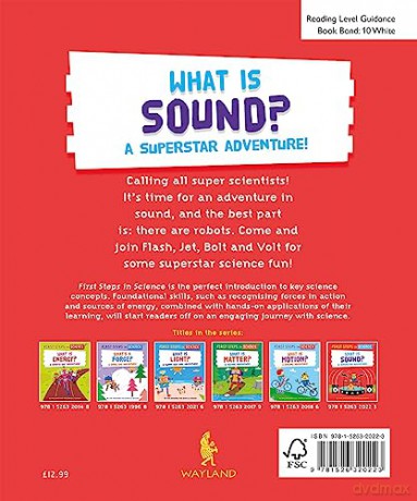 First Steps In Science What Is Sound - Kay Barnham [KSIĄŻKA]