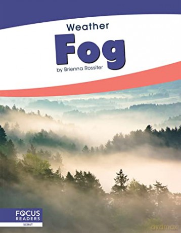 Fog - Brienna Rossiter [KSIĄŻKA]