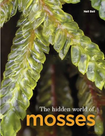 Hidden World Of Mosses - Neil Bell [KSIĄŻKA]