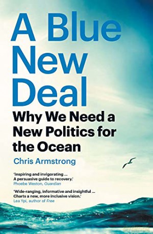 Blue New Deal - Chris Armstrong [KSIĄŻKA]