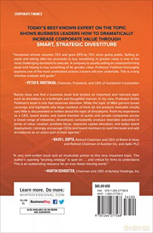 Divestitures Creating Value Through St [KSIĄŻKA]