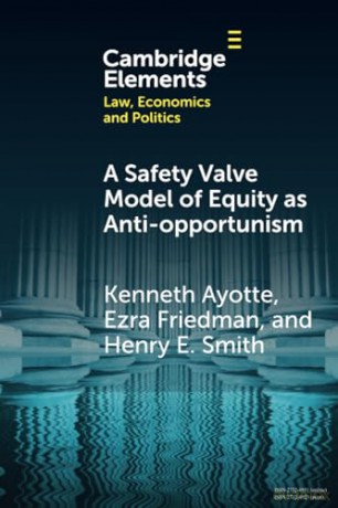 A Safety Valve Model Of Equity As Anti- - Ayotte Kenneth [KSIĄŻKA]