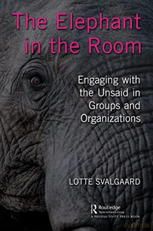 Elephant In The Room - Lotte Svalgaard [KSIĄŻKA]