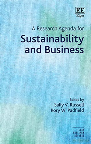A Research Agenda For Sustainability An [KSIĄŻKA]